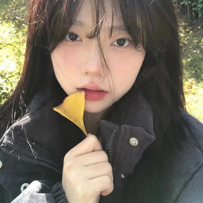 我的小公司